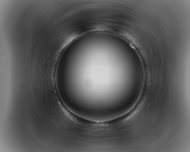 X0000088131137200705211110