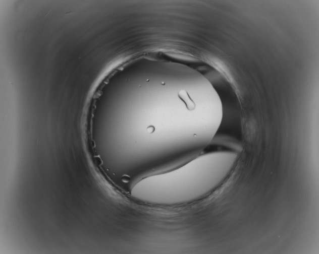 X0000088131138200705211110