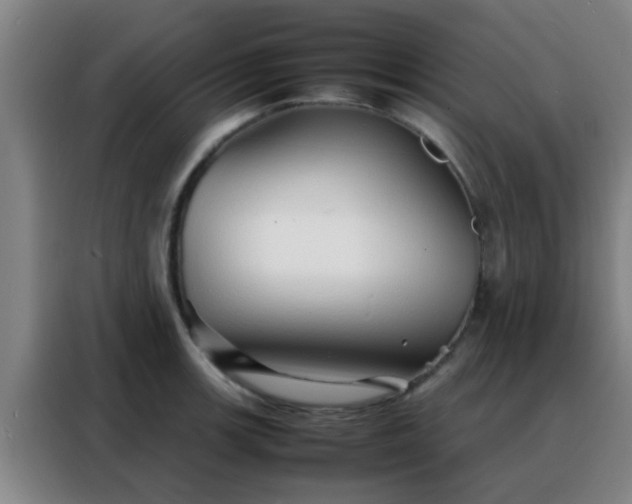 X0000088131139200705211110