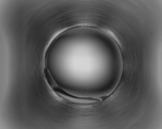 X0000088131140200705211110