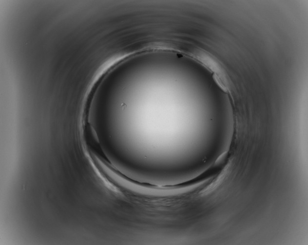 X0000088131141200705211110