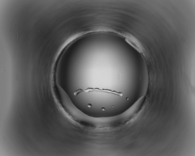 X0000088131142200705211110