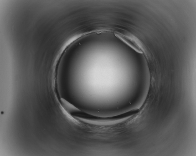 X0000088131143200705211110