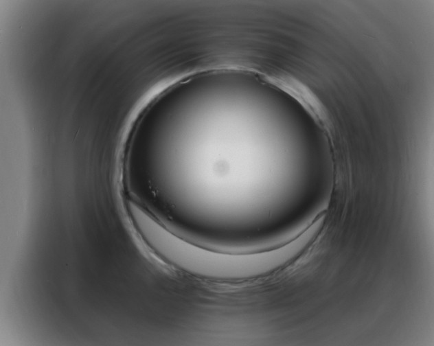 X0000088131144200705211110