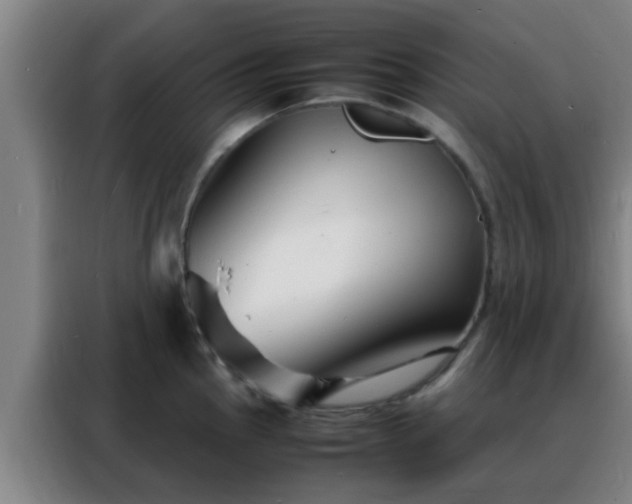 X0000088131145200705211110