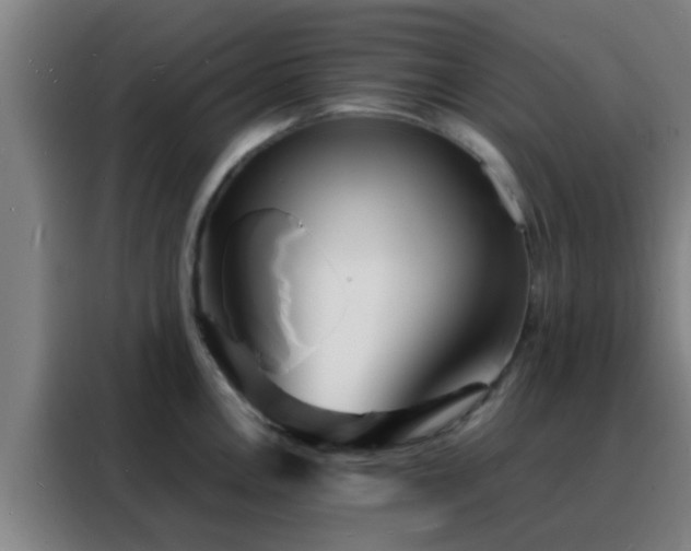 X0000088131146200705211110