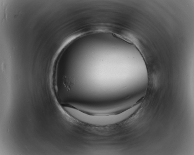 X0000088131147200705211110