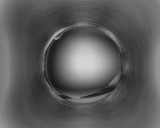 X0000088131148200705211110