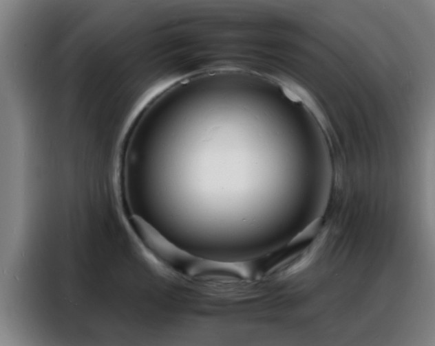 X0000088131149200705211110