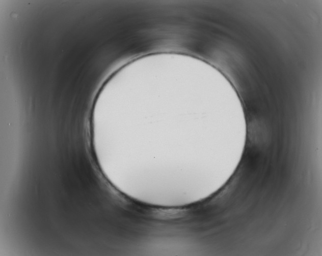 X0000088131150200705211110