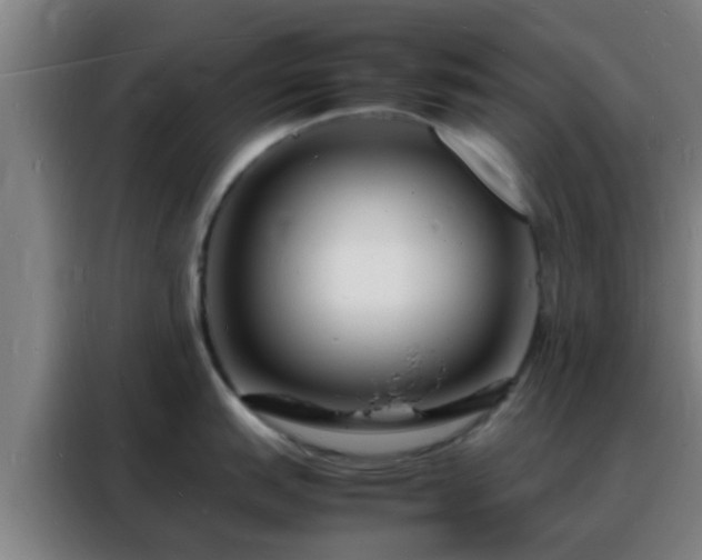 X0000088131151200705211110