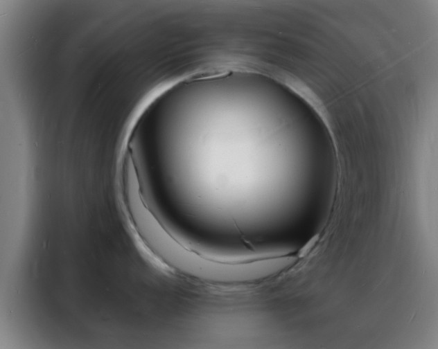 X0000088131152200705211110