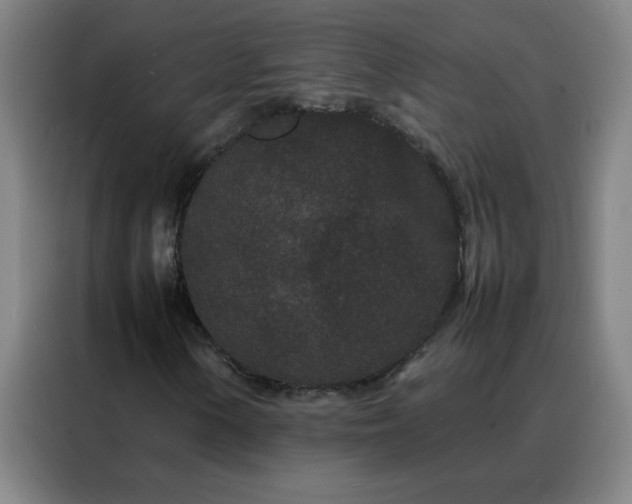 X0000088131154200705211110