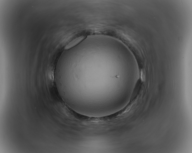 X0000088131155200705211110