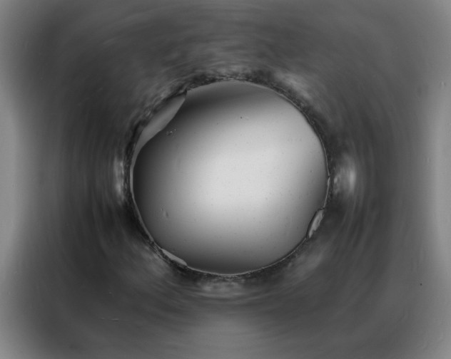 X0000088131156200705211110