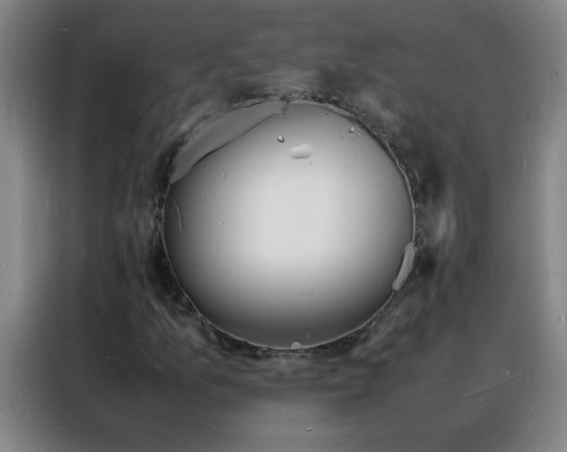 X0000088131157200705211110