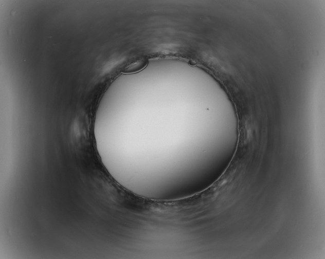 X0000088131158200705211110