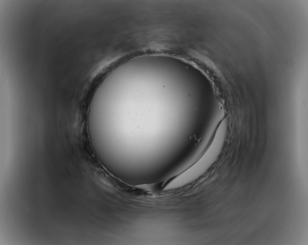 X0000088131160200705211110