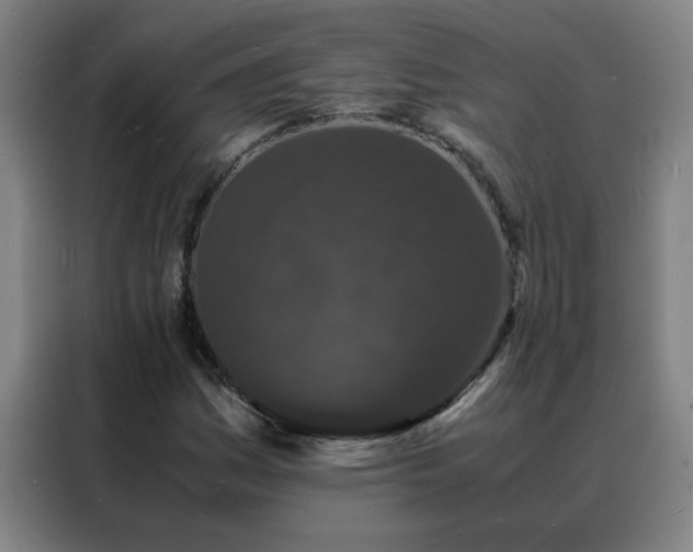 X0000088131161200705211110