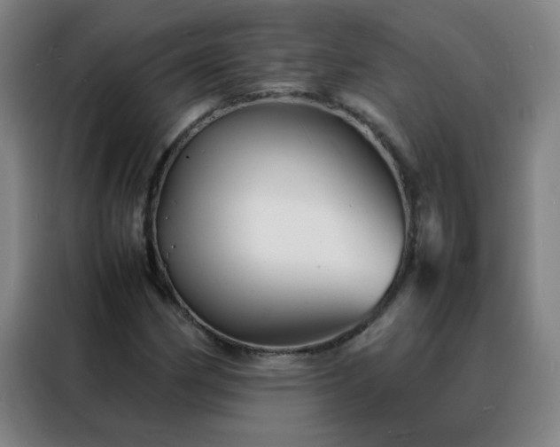 X0000088131162200705211110