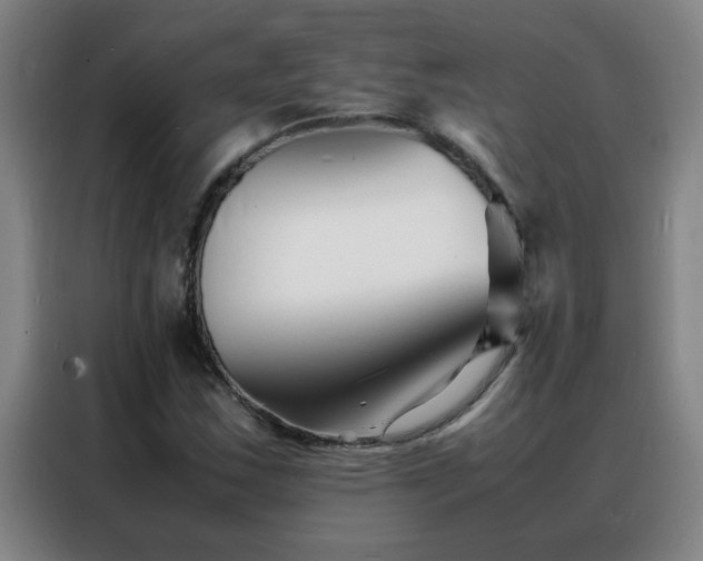 X0000088131163200705211110