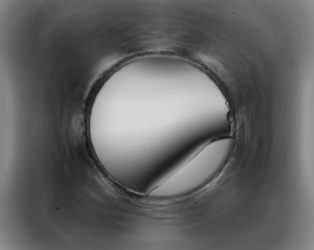 X0000088131164200705211110