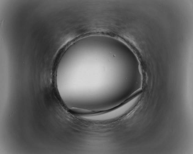 X0000088131165200705211110