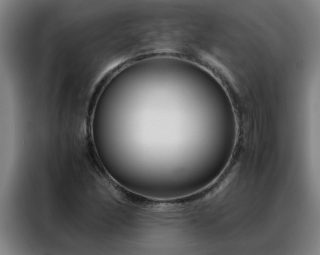 X0000088131166200705211110