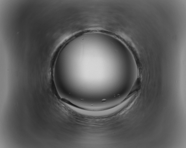 X0000088131167200705211110