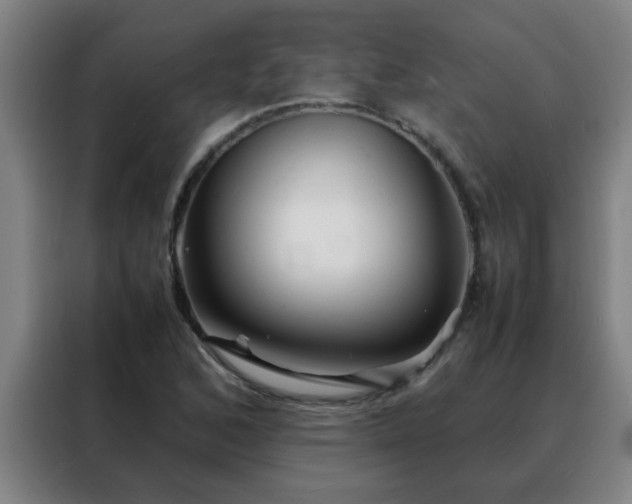 X0000088131168200705211110