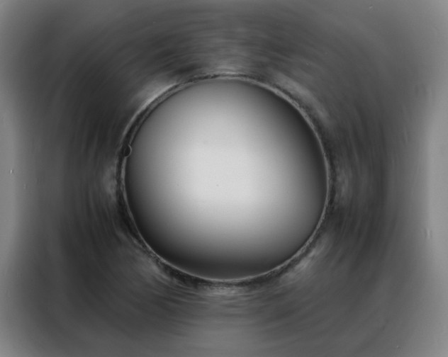 X0000088131170200705211110