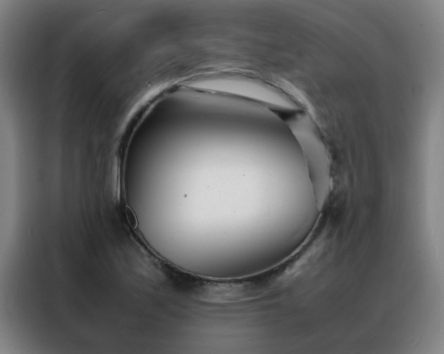 X0000088131171200705211110