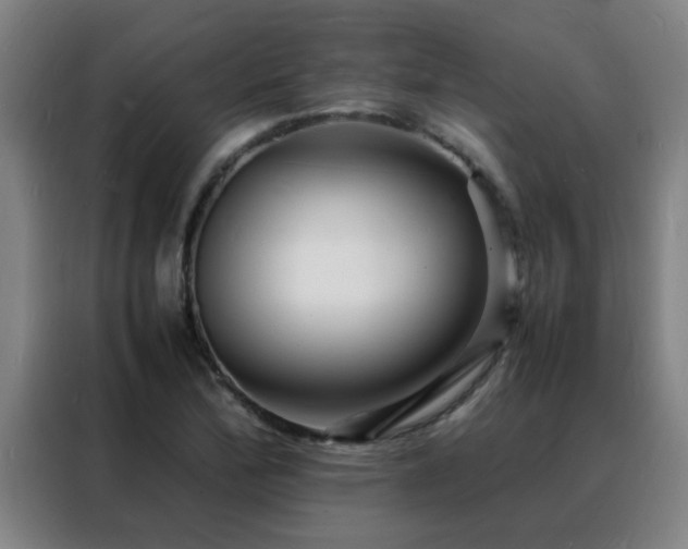 X0000088131172200705211110