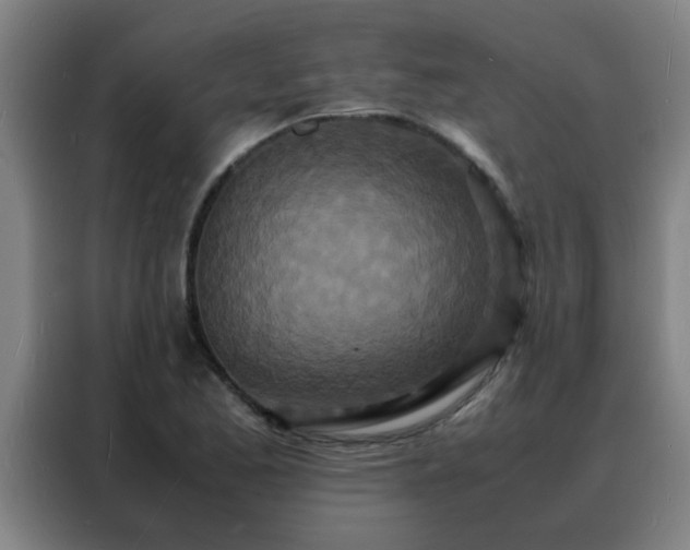 X0000088131173200705211110