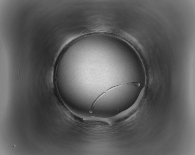 X0000088131174200705211109