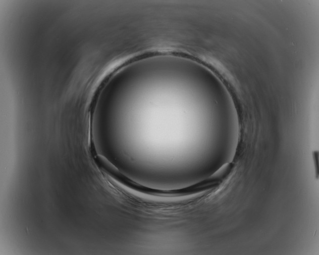 X0000088131175200705211109