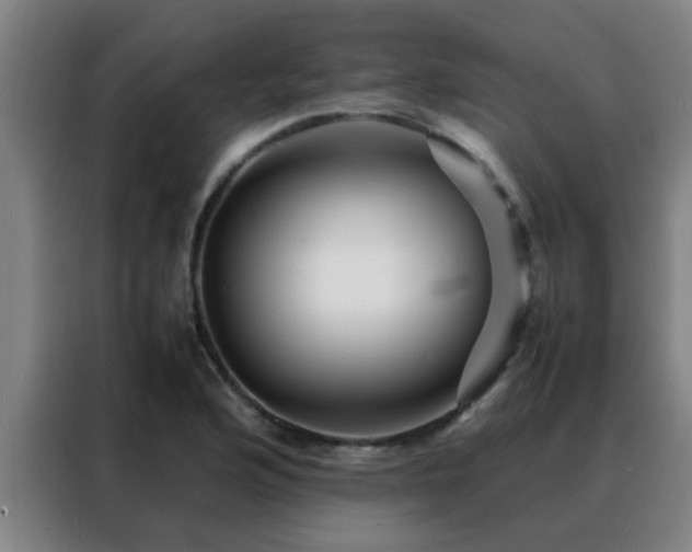 X0000088131176200705211109