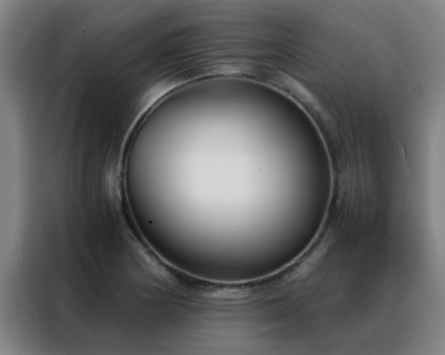 X0000088131178200705211109