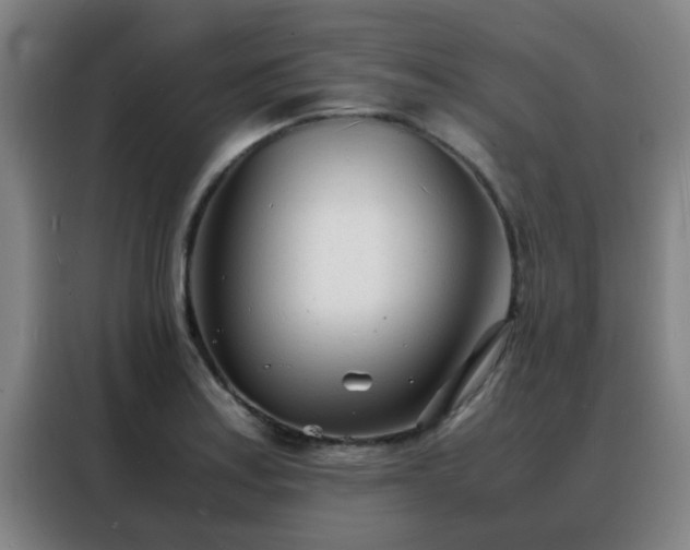 X0000088131179200705211109