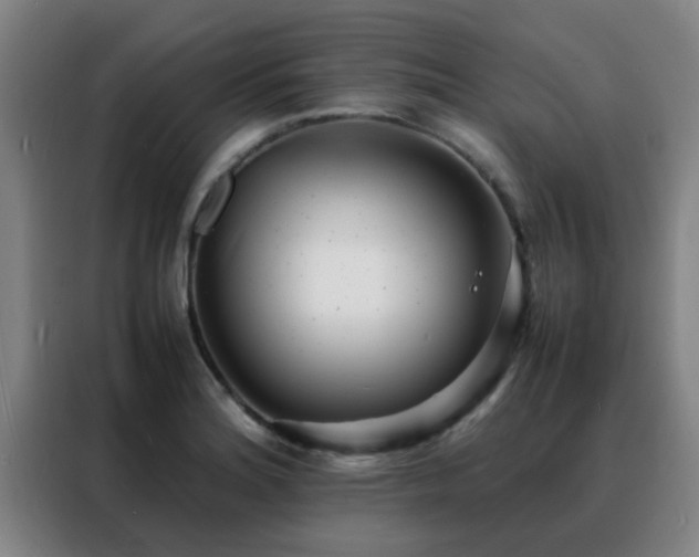 X0000088131180200705211109