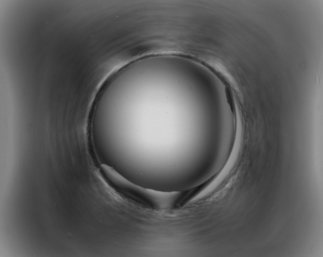 X0000088131181200705211109