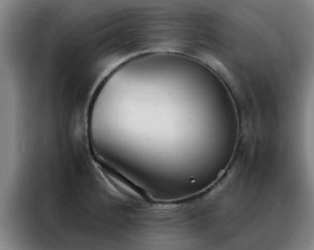 X0000088131184200705211109