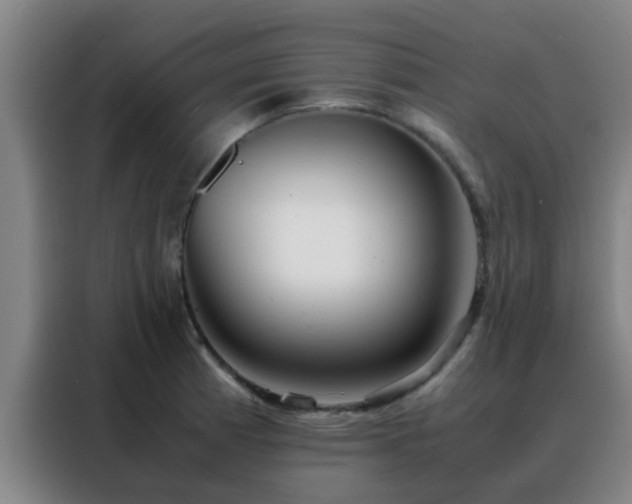 X0000088131185200705211109