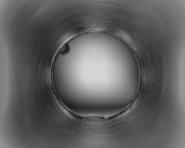 X0000088131186200705211109