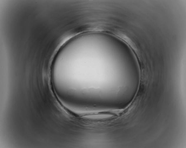 X0000088131187200705211109