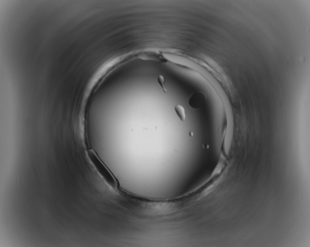 X0000088131188200705211109