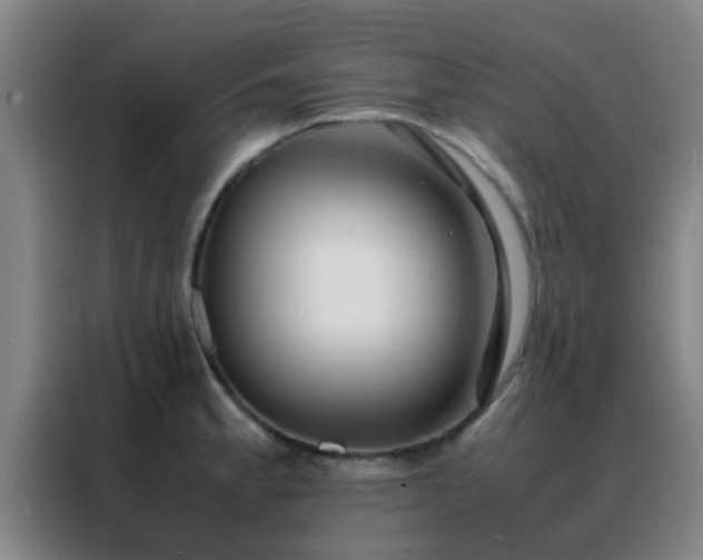 X0000088131189200705211109