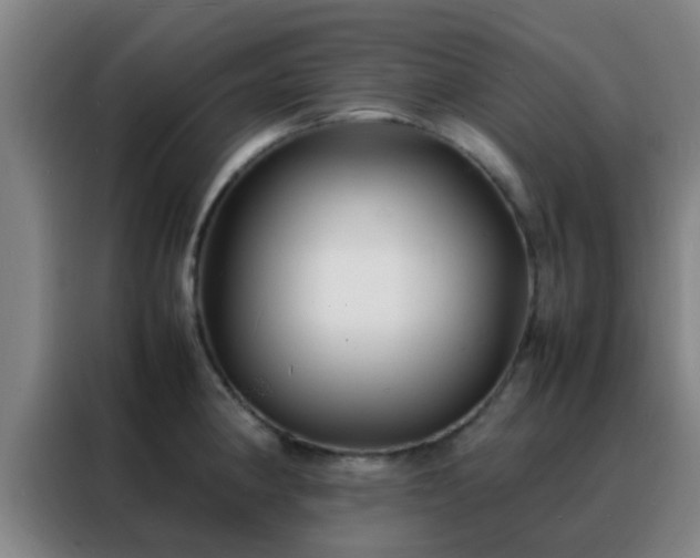 X0000088131190200705211109