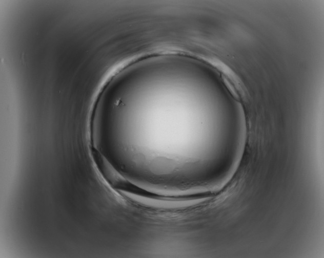 X0000088131191200705211109