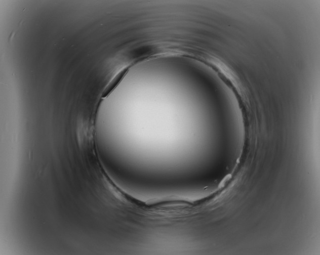 X0000088131193200705211109